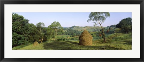 Framed Haystack at the hillside, Transylvania, Romania Print