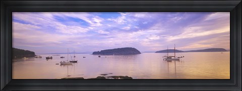 Framed Frenchman Bay, Bar Harbor, Maine, USA Print