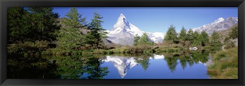 Framed Reflection of trees and mountain in a lake, Matterhorn, Switzerland Print