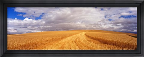Framed Wheat Field, Washington State, USA Print
