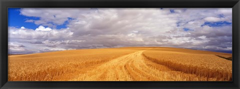 Framed Wheat Field, Washington State, USA Print
