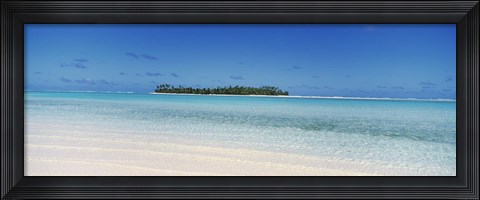 Framed Maina, Cook Islands Print