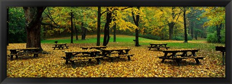 Framed Robert Treman State Park, New York State, USA Print