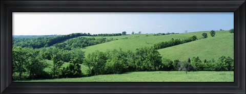 Framed Horse Farm, Kentucky, USA Print