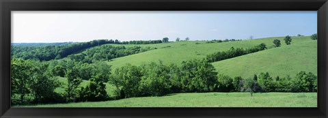 Framed Horse Farm, Kentucky, USA Print