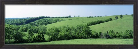 Framed Horse Farm, Kentucky, USA Print