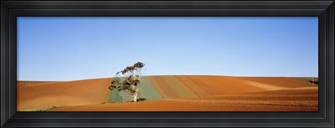 Framed Australia Print