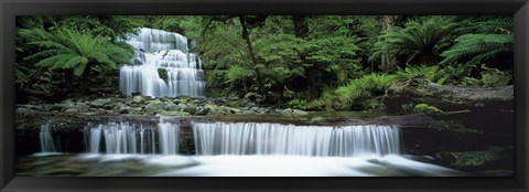 Framed Liffey Falls, Tasmania, Australia Print