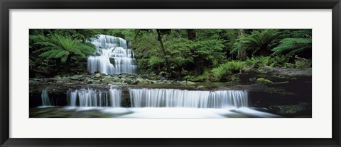 Framed Liffey Falls, Tasmania, Australia Print