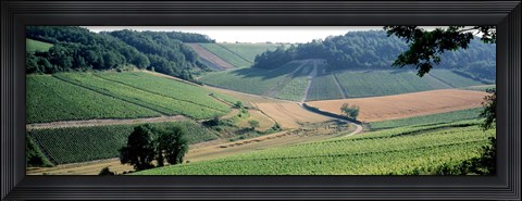 Framed France, Chablis, vineyards Print