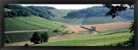 Framed France, Chablis, vineyards Print