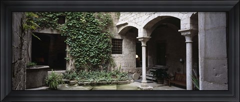 Framed Ivy on the wall of a house, Girona, Spain Print