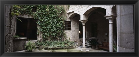 Framed Ivy on the wall of a house, Girona, Spain Print