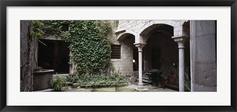 Framed Ivy on the wall of a house, Girona, Spain Print