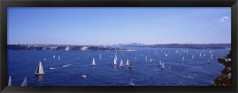 Framed Yachts in the bay, Sydney Harbor, Sydney, New South Wales, Australia Print