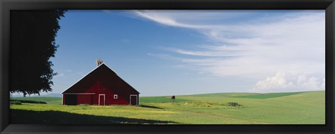 Framed Barn in a wheat field, Washington State (horizontal) Print