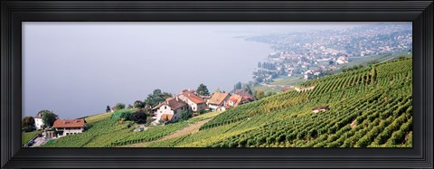 Framed Vineyards, Lausanne, Lake Geneva, Switzerland Print