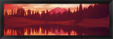 Framed Reflection of trees in water, Tipsoo Lake, Mt Rainier, Mt Rainier National Park, Washington State, USA Print