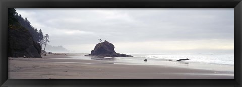 Framed Coast La Push Olympic National Park WA Print