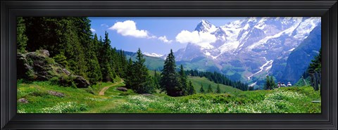 Framed Alpine Scene Near Murren Switzerland Print
