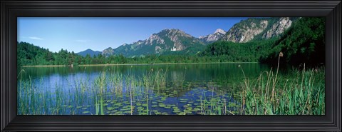 Framed Alpsee Bavaria Germany Print
