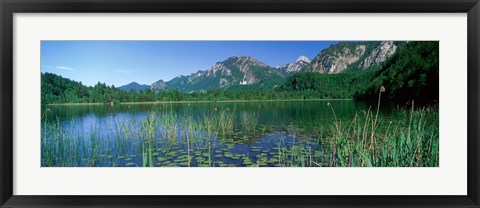 Framed Alpsee Bavaria Germany Print