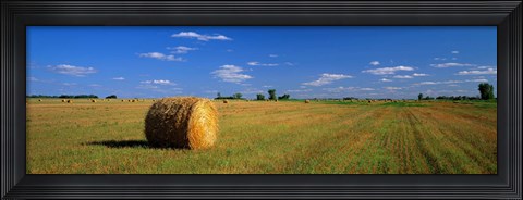 Framed Hay Bales, South Dakota, USA Print