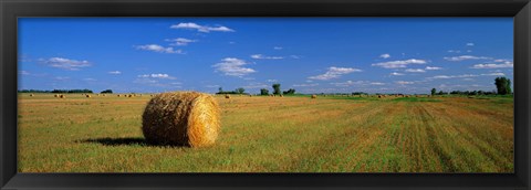 Framed Hay Bales, South Dakota, USA Print