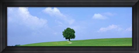 Framed Lone Tree on Hilltop Salzkammergut Austria Print