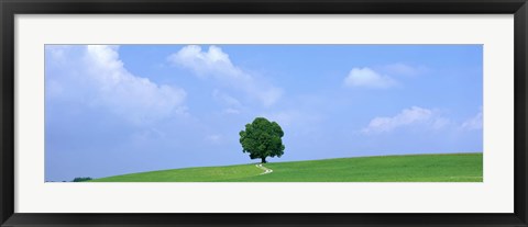 Framed Lone Tree on Hilltop Salzkammergut Austria Print