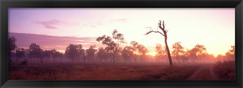 Framed Kakadu National Park Northern Territory Australia Print