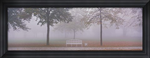 Framed Trees and Bench in Fog Schleissheim Germany Print