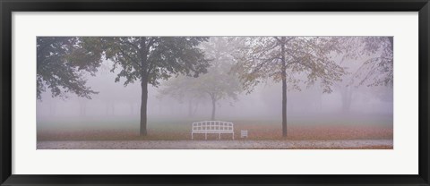 Framed Trees and Bench in Fog Schleissheim Germany Print