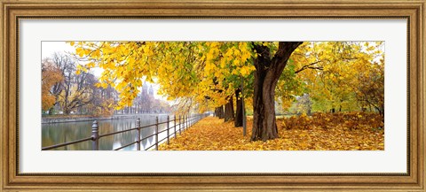 Framed Autumn Scene Munich Germany Print