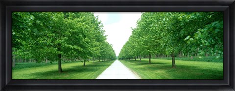 Framed Avenue at Chateau de Modave Ardennes Belgium Print