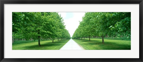 Framed Avenue at Chateau de Modave Ardennes Belgium Print