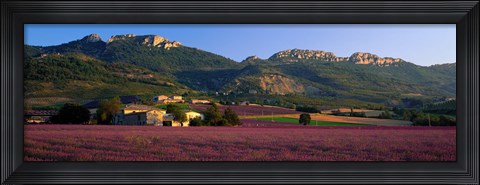 Framed Lavender Fields And Farms, High Provence, La Drome, France Print