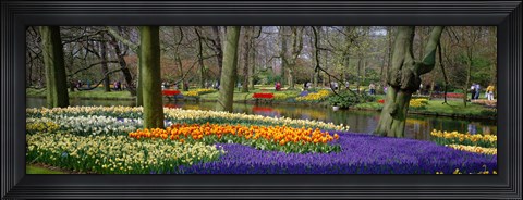 Framed Keukenhof Garden Lisse The Netherlands Print