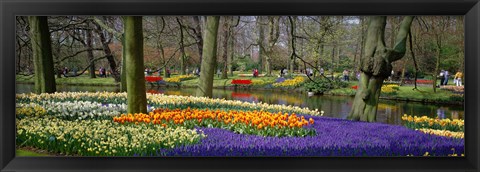 Framed Keukenhof Garden Lisse The Netherlands Print