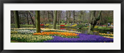 Framed Keukenhof Garden Lisse The Netherlands Print