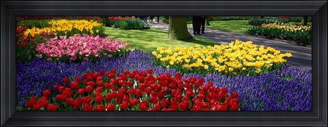 Framed Colorful flower beds, Keukenhof Garden, Lisse, The Netherlands Print