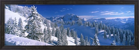 Framed Alpine Scene, Bavaria, Germany Print