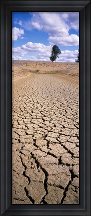 Framed Drought, Australia Print