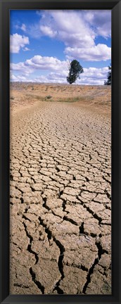 Framed Drought, Australia Print