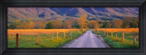 Framed Road At Sundown, Cades Cove, Great Smoky Mountains National Park, Tennessee, USA Print