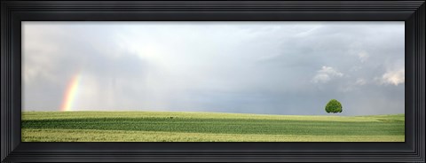 Framed Rainbow and storm clouds over a field, Zurich Canton, Switzerland Print