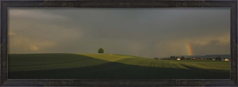 Framed Storm clouds over a field, Canton Of Zurich, Switzerland Print