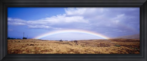 Framed Field, Rainbow, Hawaii, USA Print