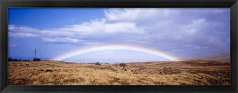 Framed Field, Rainbow, Hawaii, USA Print