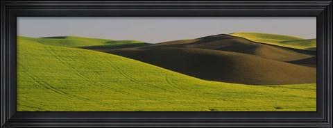 Framed Wheat Field On A Landscape, Whitman County, Washington State, USA Print
